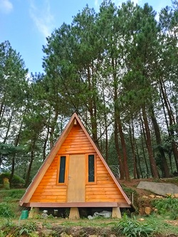 Bukit Pinus Paseban Camp